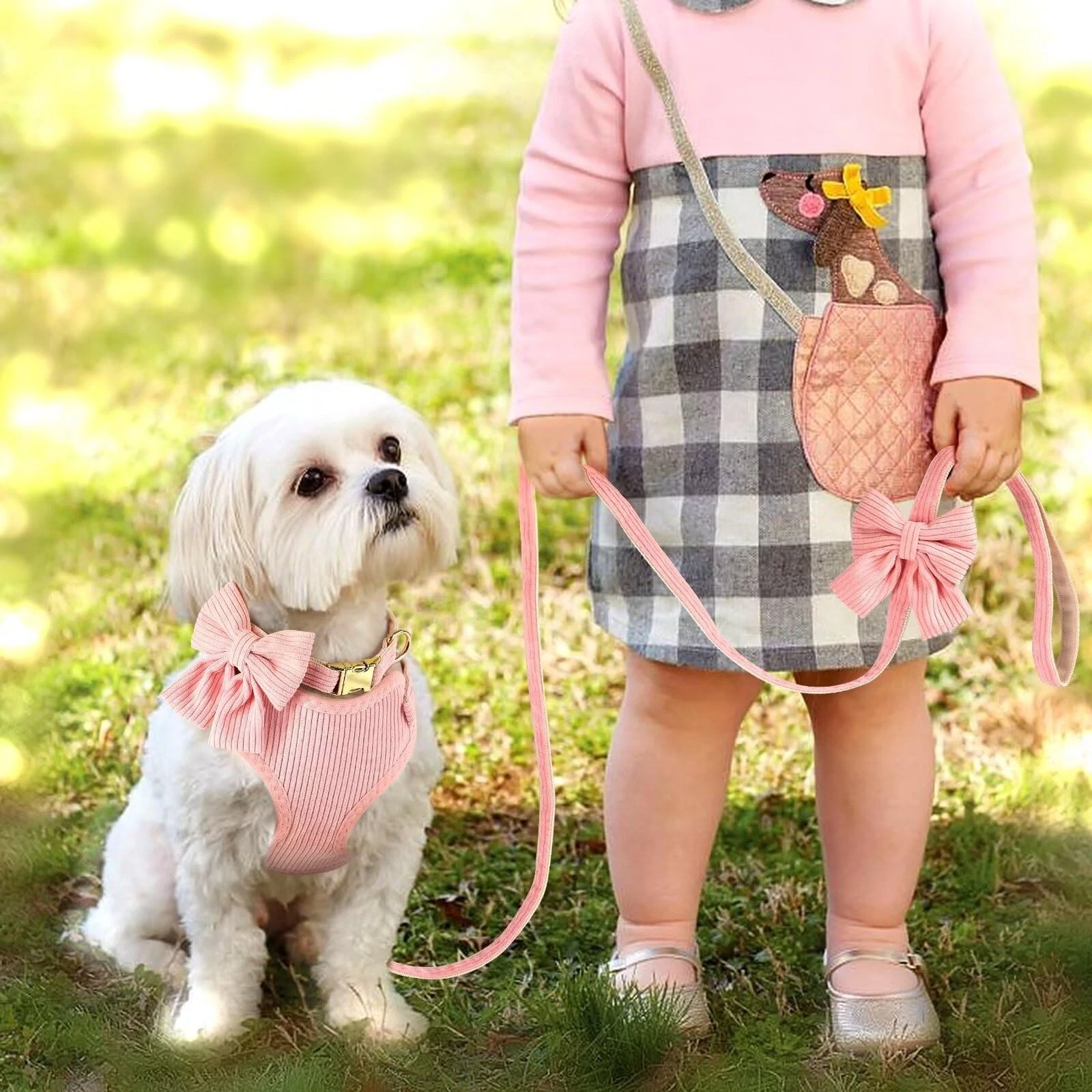 Didog Pink Adjustable Dog Harness, Collar & Leash Set – Soft Mesh Vest with Bowtie for Small Dogs, Puppies & Cats (Size S)