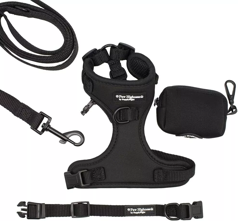 Paw Highness Dog Walking Harness, Collar, Leash & Poo Bag Holder Set in Black Small